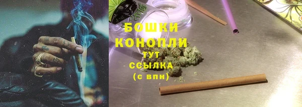 ПСИЛОЦИБИНОВЫЕ ГРИБЫ Алексин