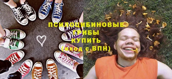 дурь Алзамай