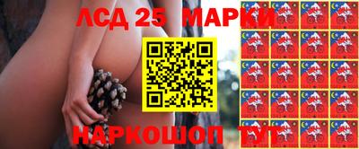 прущие крисы Ирбит