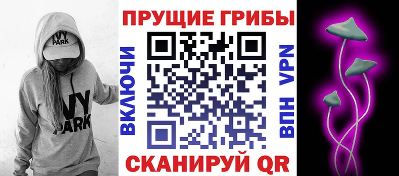 Галлюциногенные грибы Magic Shrooms наркошоп Копейск