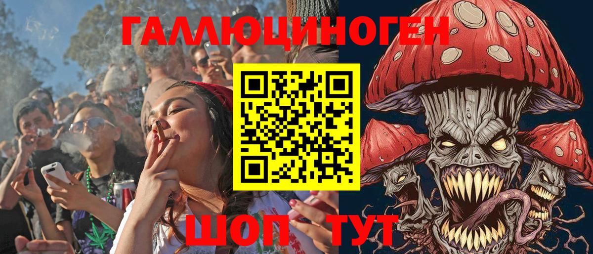 Галлюциногенные грибы мухоморы Копейск