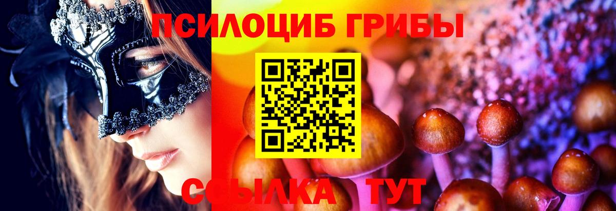 Копейск  Галлюциногенные грибы мухоморы  Вход с VPN 